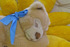 Teddybär 006.jpg